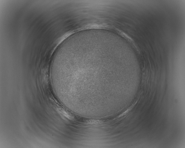 X0000080711170200701021021