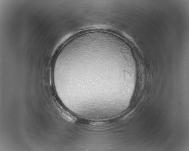 X0000080711171200701021021