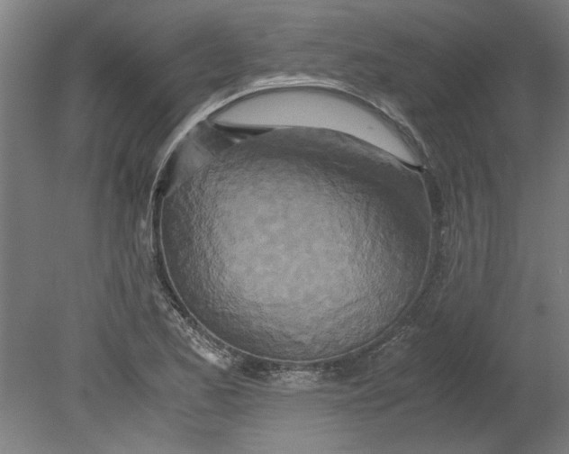 X0000080711173200701021021