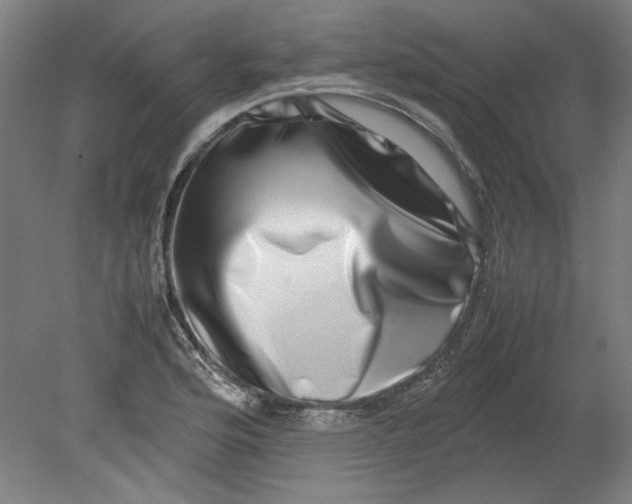 X0000080711176200701021020