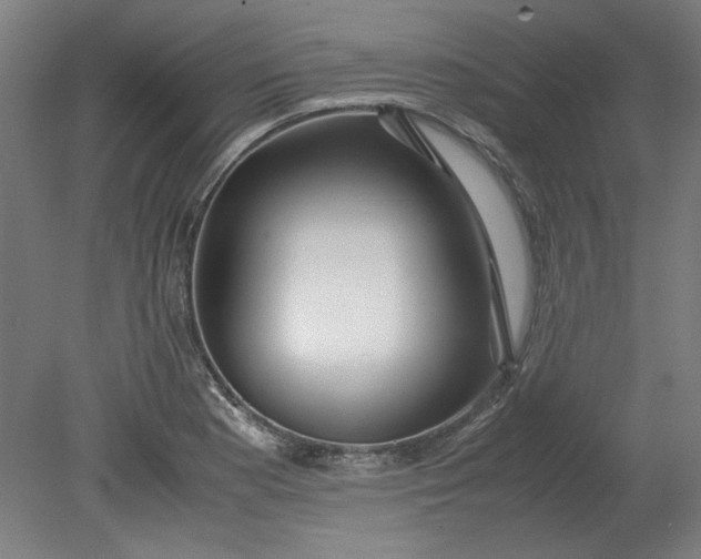 X0000080711177200701021020