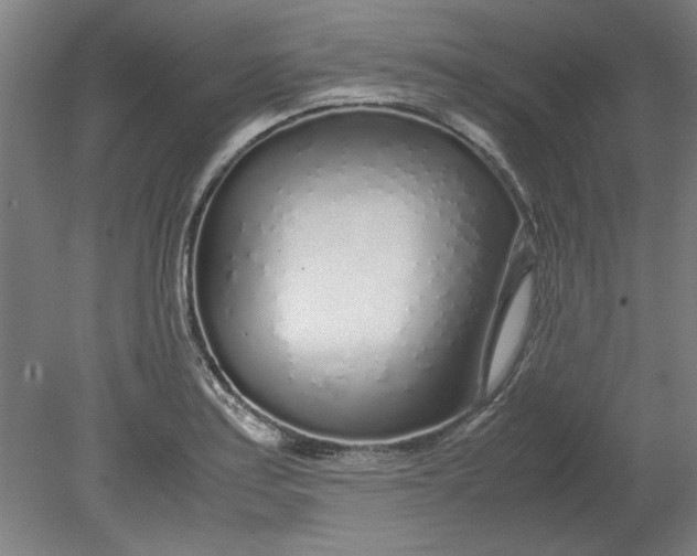 X0000080711179200701021020