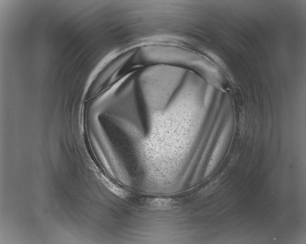 X0000080711180200701021020