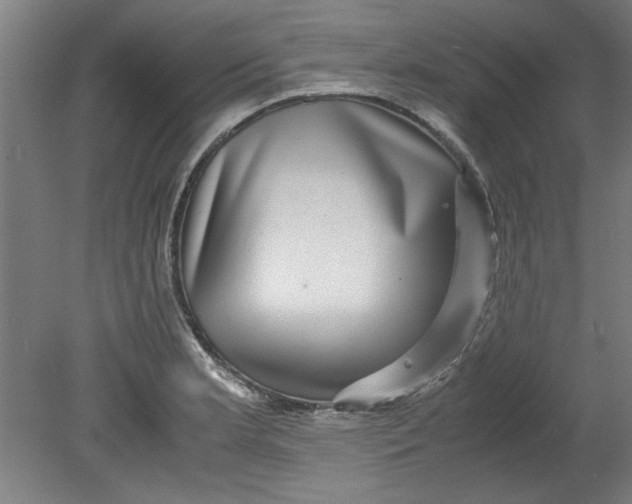 X0000080711181200701021020