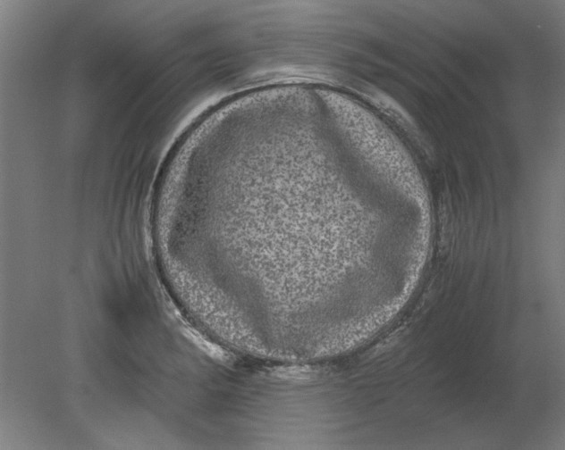 X0000080711182200701021020