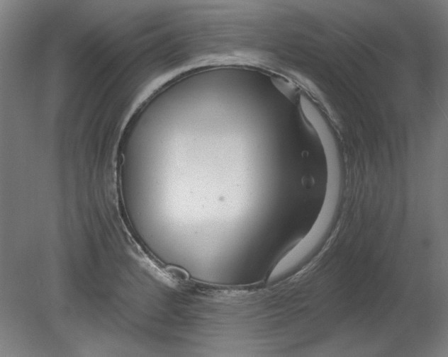 X0000080711184200701021020