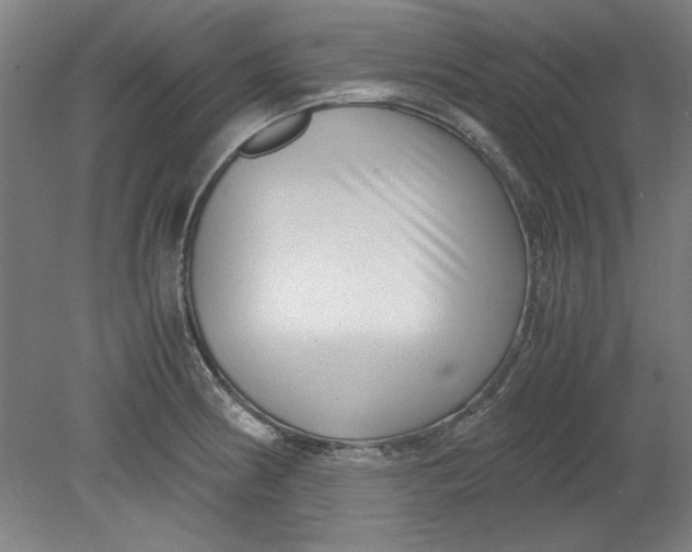 X0000080711186200701021020