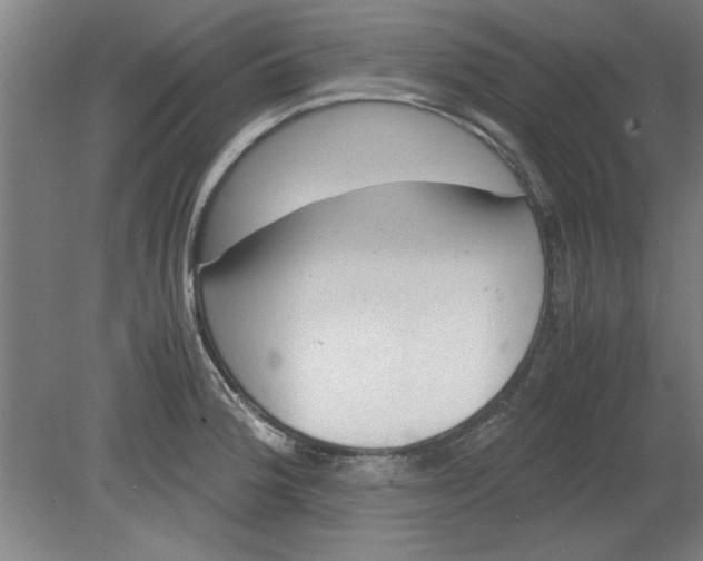 X0000080711188200701021020