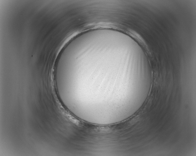 X0000080711190200701021020