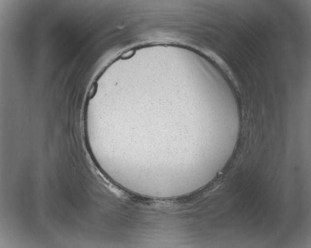 X0000080711191200701021020