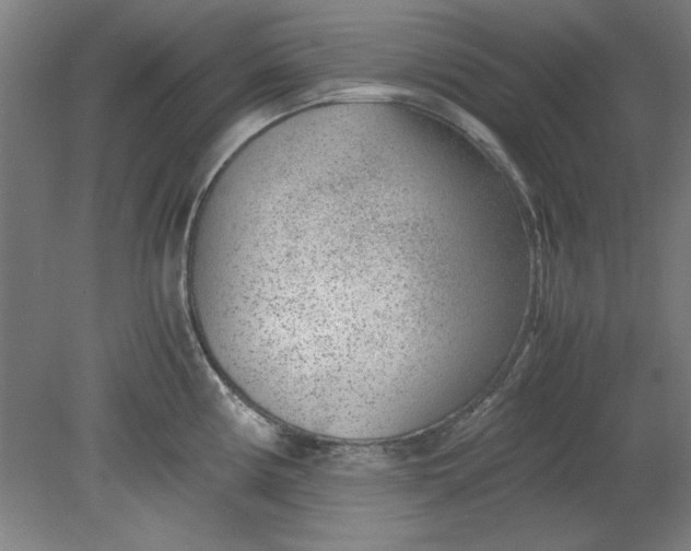 X0000080711194200701021020