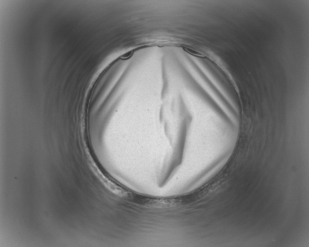 X0000080711195200701021020