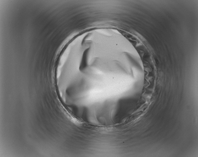 X0000080711196200701021020