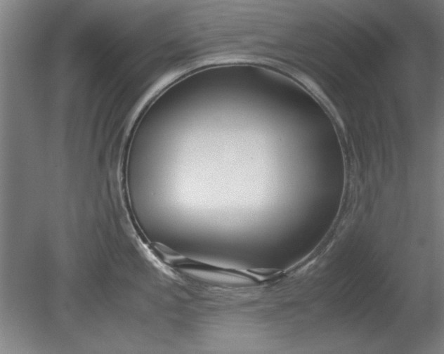 X0000080711197200701021020