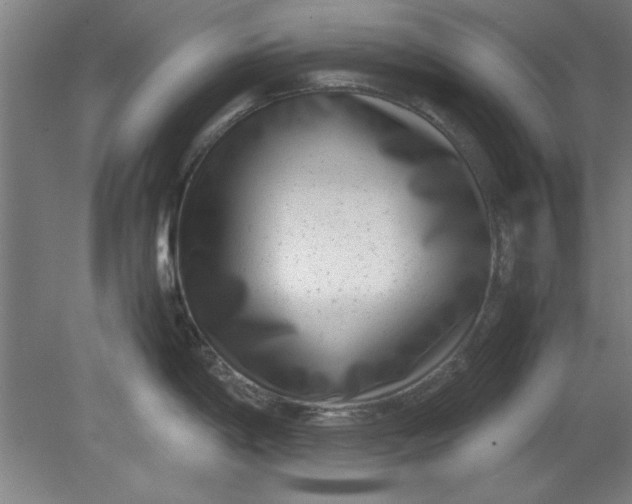 X0000080711198200701021020