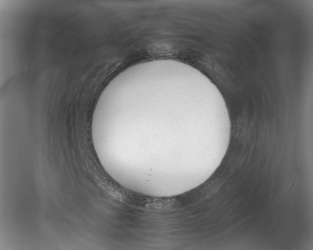 X0000080711201200701021019