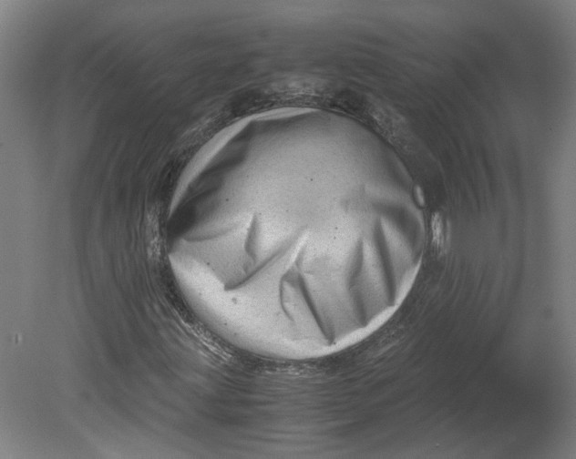 X0000080711203200701021019