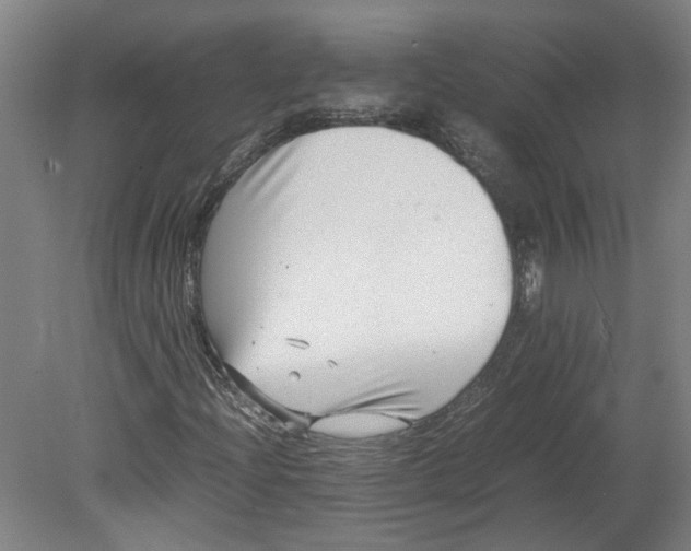 X0000080711204200701021019