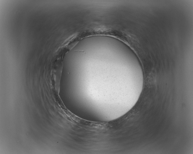 X0000080711205200701021019