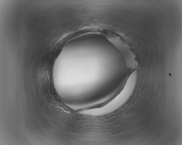 X0000080711206200701021019