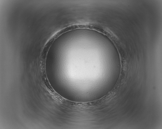 X0000080711208200701021019