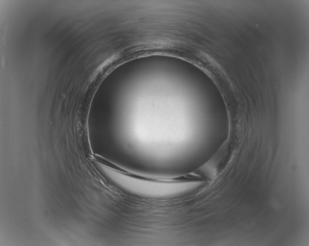 X0000080711210200701021019