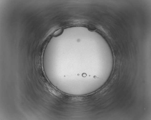 X0000080711211200701021019