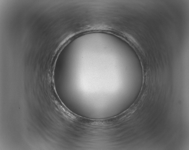 X0000080711212200701021019