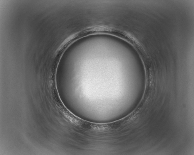 X0000080711213200701021019