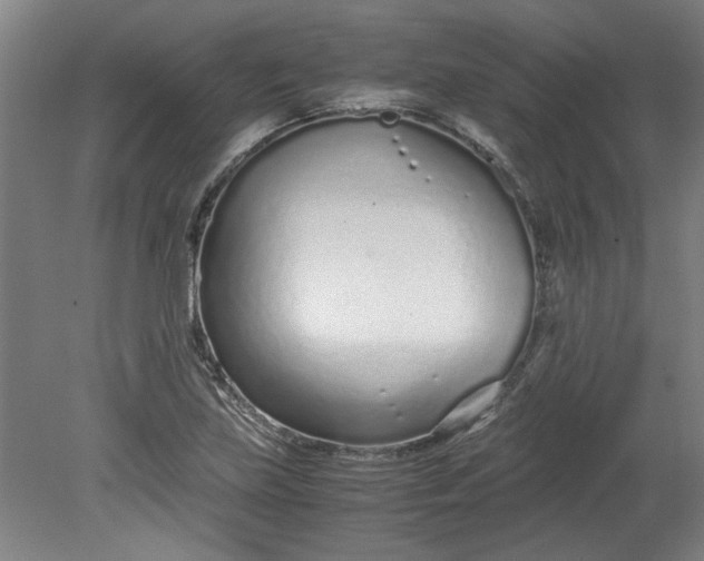 X0000080711219200701021020