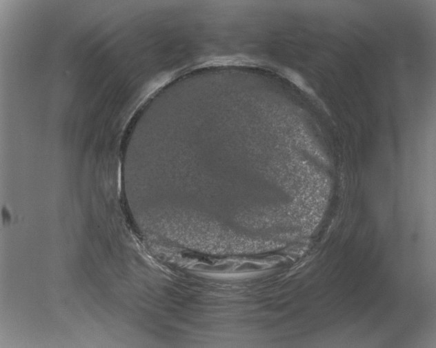 X0000080711221200701021020