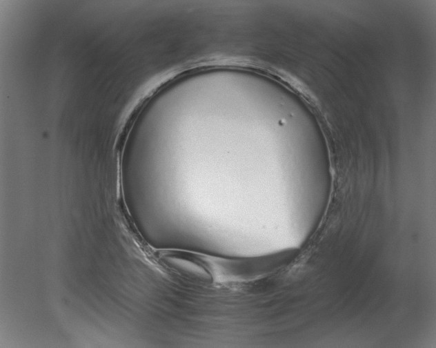 X0000080711223200701021020