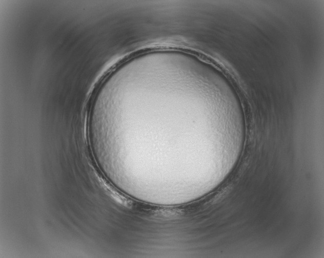 X0000080711224200701021020