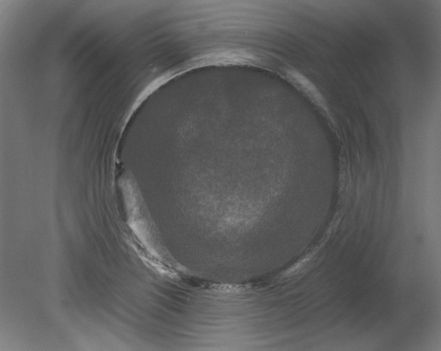 X0000080711226200701021020