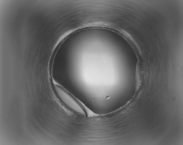 X0000080711230200701021020