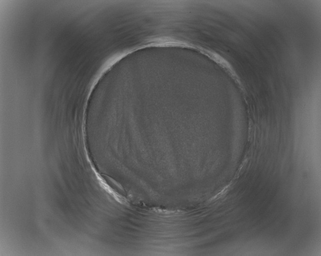 X0000080711231200701021020