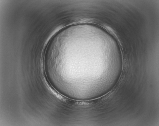 X0000080711235200701021020