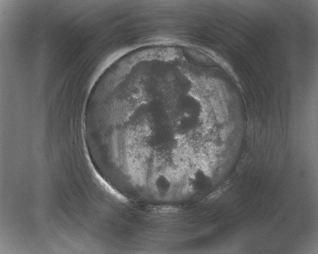 X0000080711239200701021020