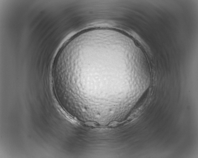 X0000080711240200701021020