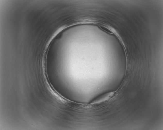 X0000080711243200701021020