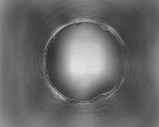 X0000080711244200701021020