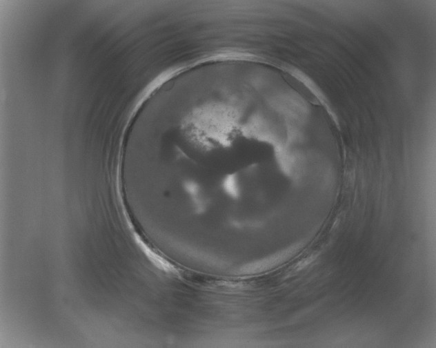 X0000080711245200701021020