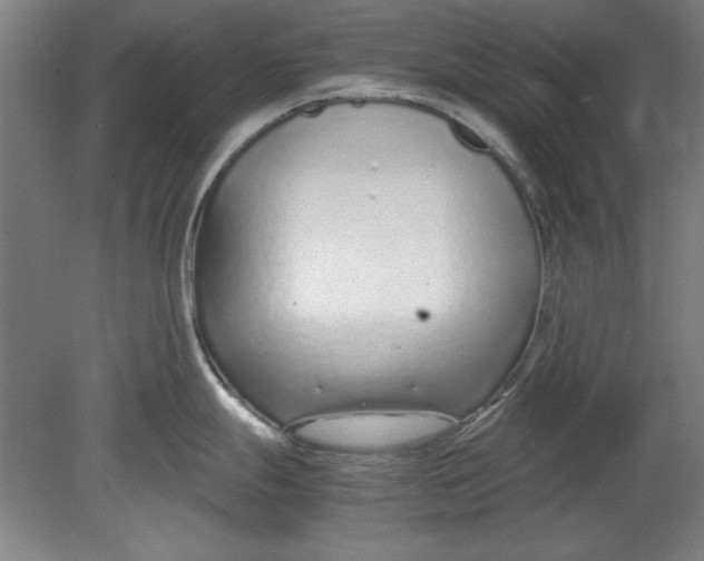 X0000080711247200701021020