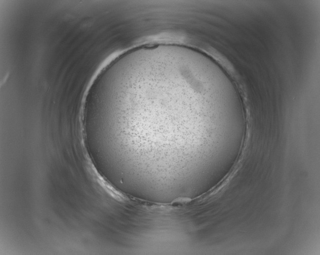 X0000080711248200701021020