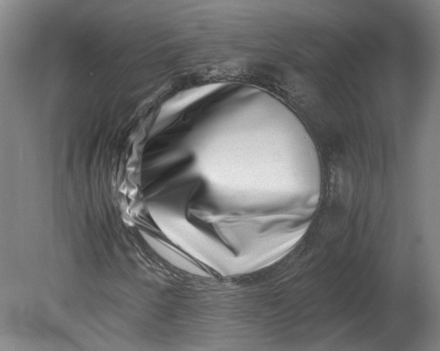 X0000080711250200701021019