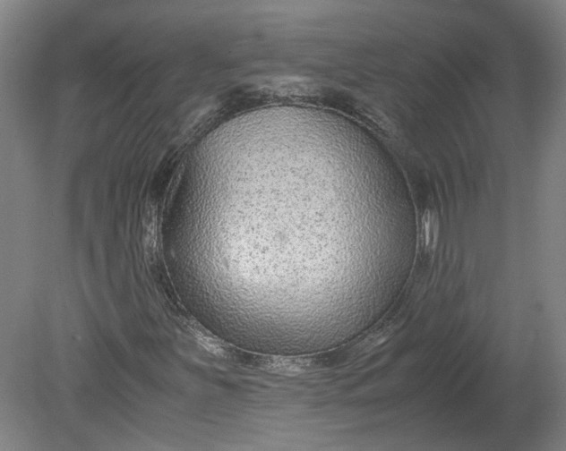 X0000080711251200701021019