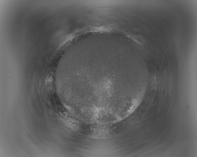 X0000080711254200701021019