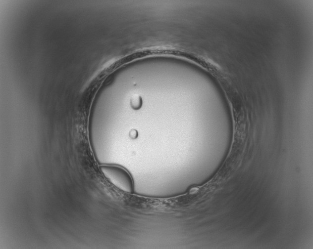 X0000080711255200701021019