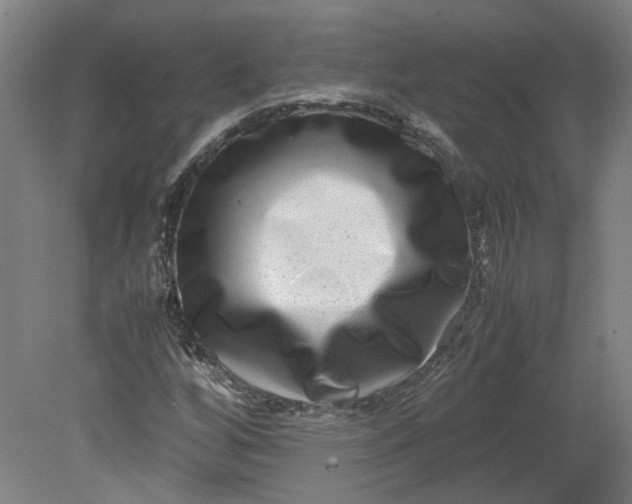 X0000080711256200701021019