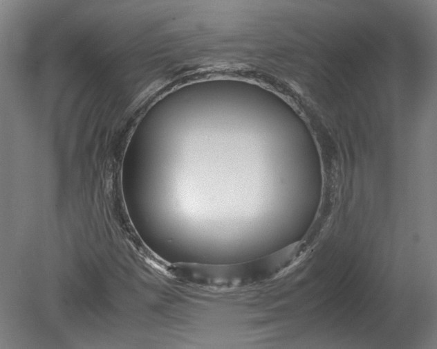 X0000080711257200701021019